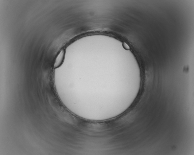 X0000112181257200909041222