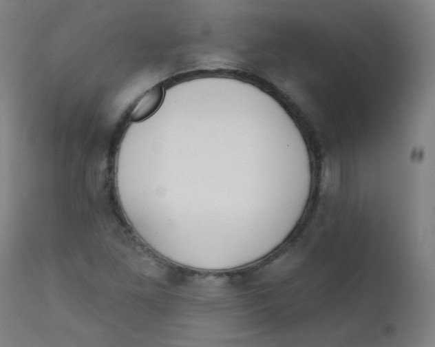 X0000112181261200909041221