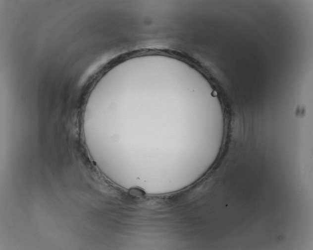 X0000112181262200909041221