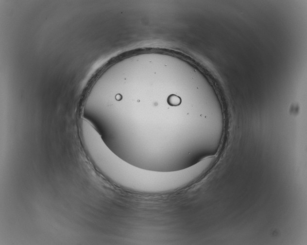 X0000112181264200909041221