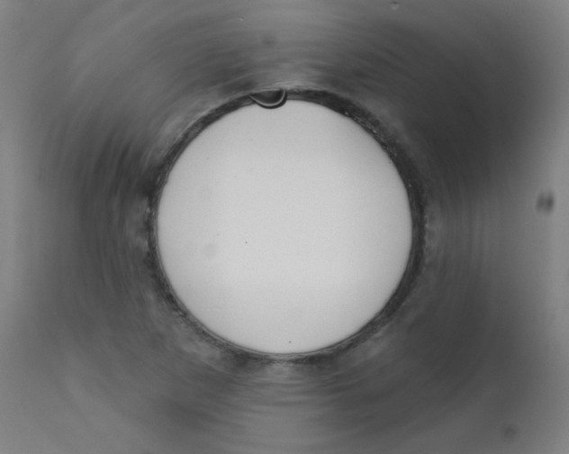 X0000112181265200909041221