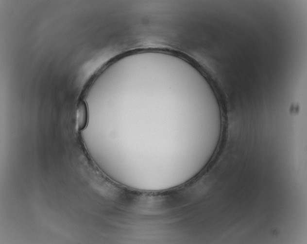 X0000112181269200909041221