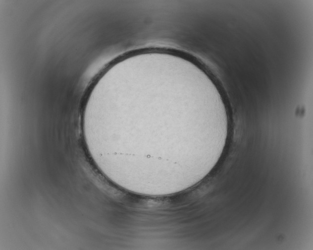 X0000112181271200909041221