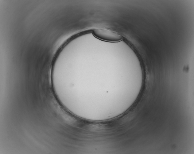 X0000112181272200909041221
