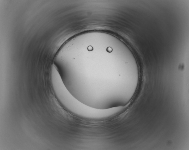 X0000112181273200909041221