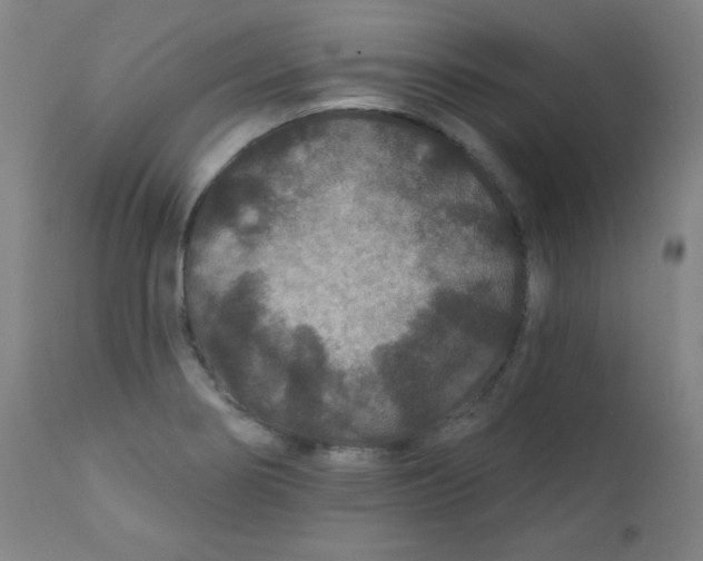 X0000112181274200909041221