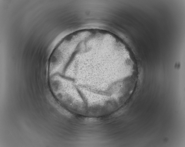 X0000112181275200909041221