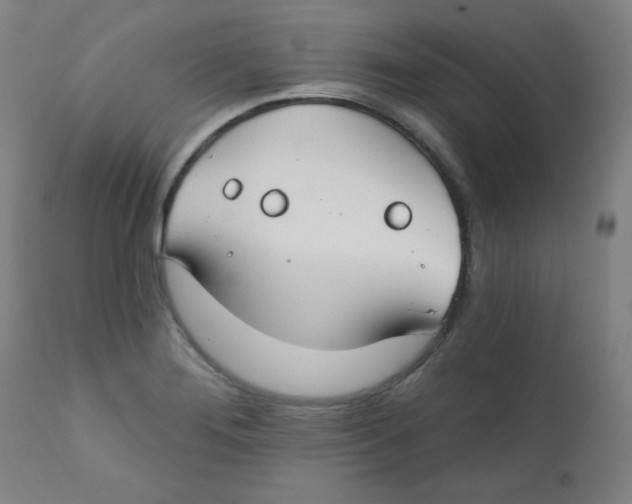 X0000112181276200909041221