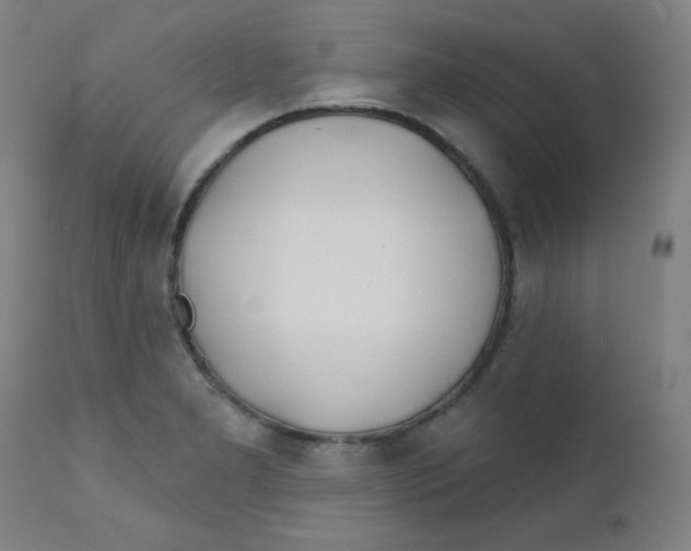 X0000112181277200909041221
