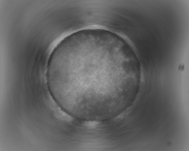 X0000112181278200909041221