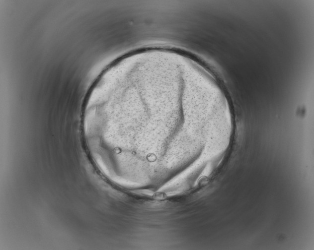 X0000112181279200909041221