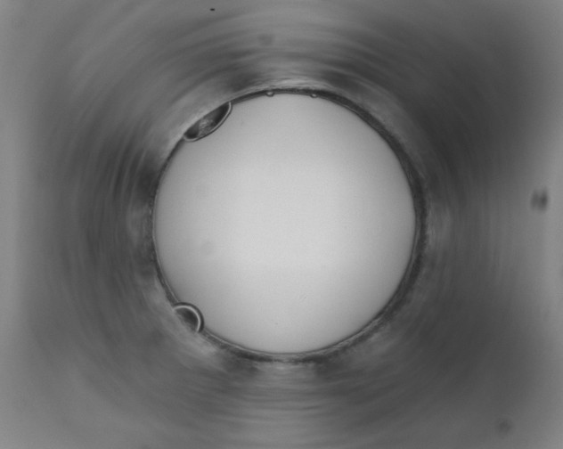 X0000112181281200909041221