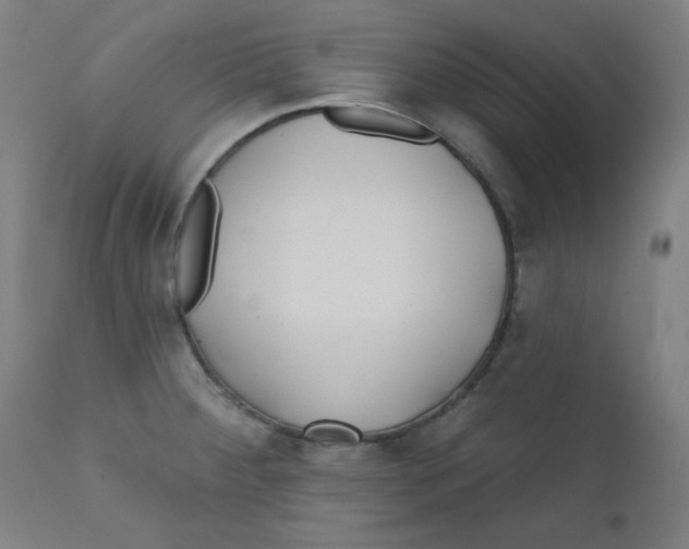 X0000112181284200909041221