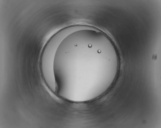 X0000112181285200909041221