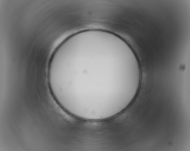 X0000112181286200909041221