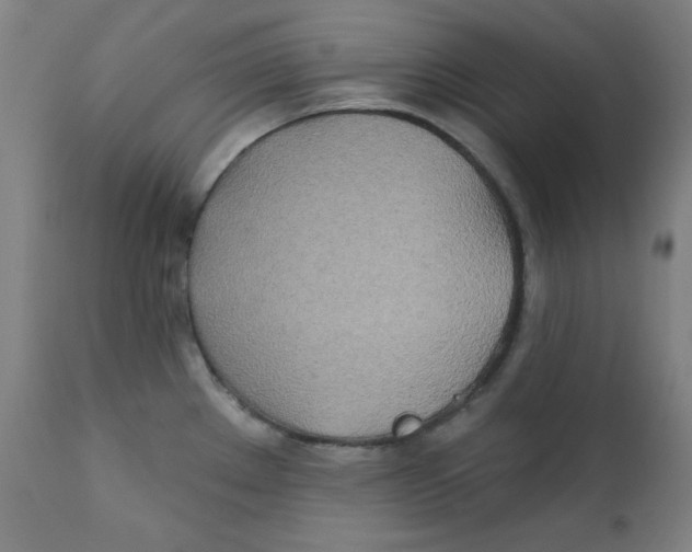 X0000112181289200909041221