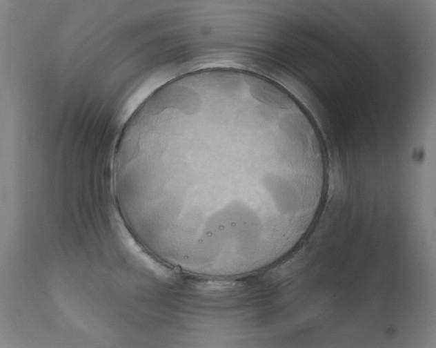 X0000112181290200909041221