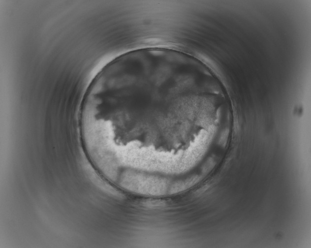 X0000112181291200909041221