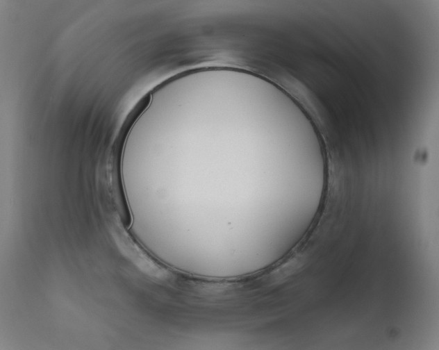 X0000112181292200909041221