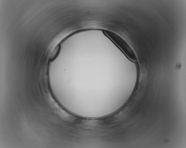 X0000112181293200909041221