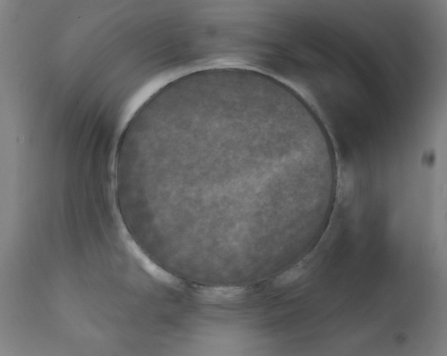 X0000112181294200909041221