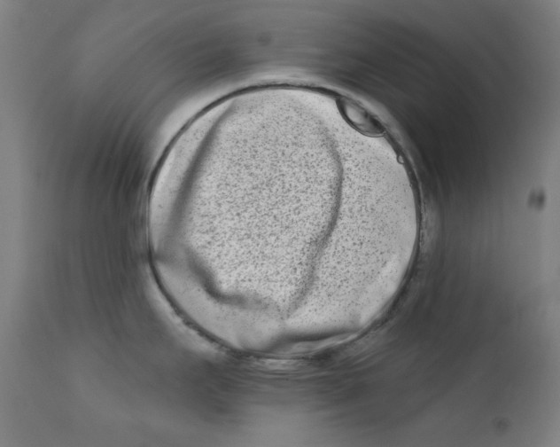X0000112181295200909041221