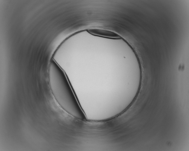 X0000112181296200909041221