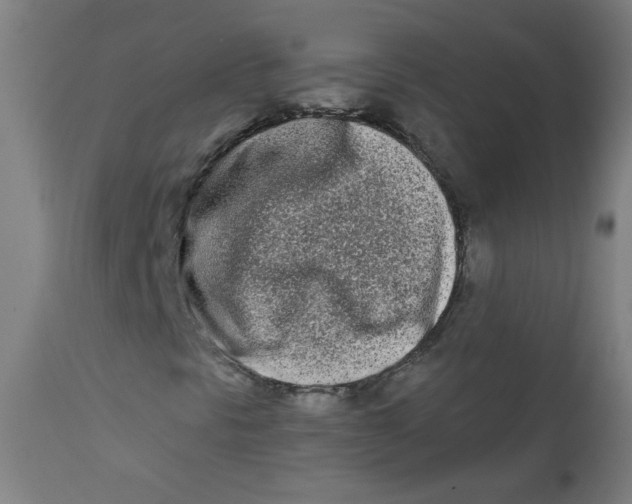 X0000112181297200909041220