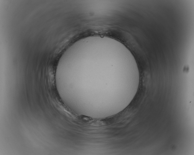 X0000112181298200909041220