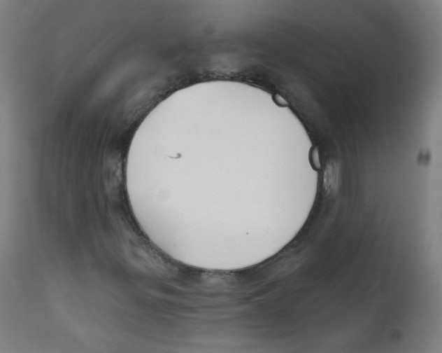 X0000112181299200909041220