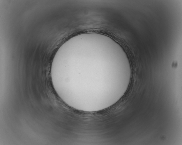 X0000112181300200909041220