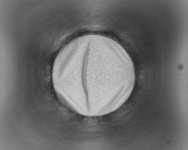 X0000112181301200909041220