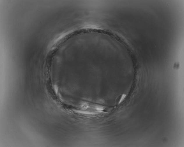 X0000112181303200909041220