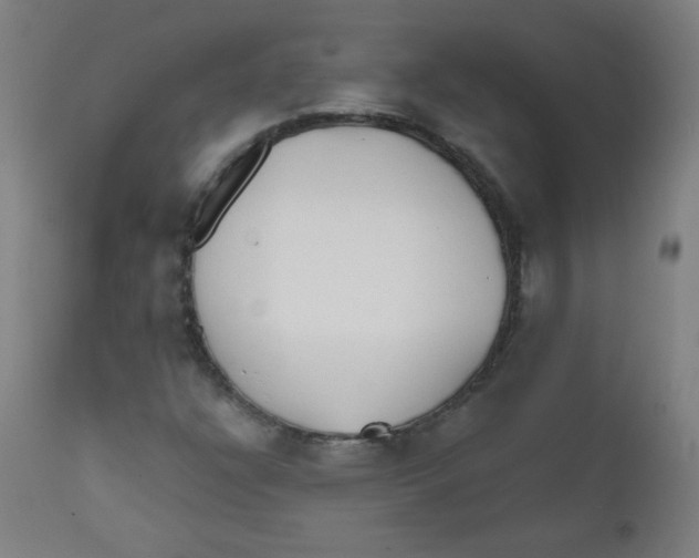 X0000112181304200909041220