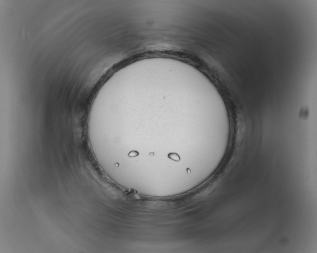X0000112181305200909041220