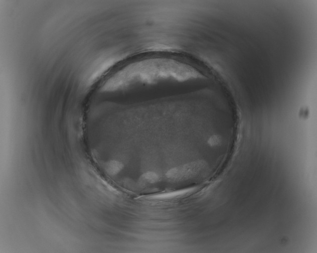 X0000112181306200909041220