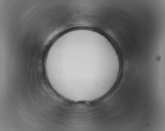 X0000112181307200909041220
