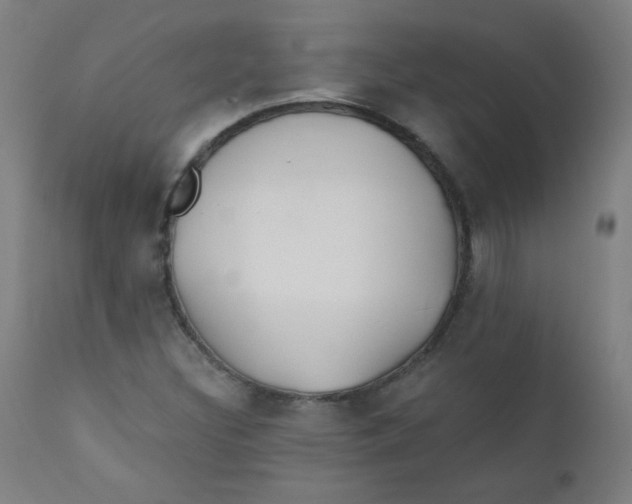 X0000112181308200909041220