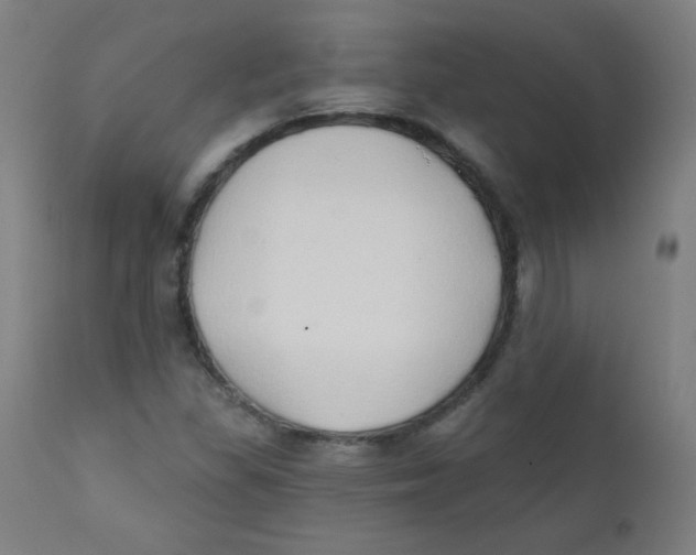 X0000112181309200909041220