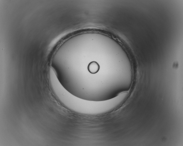 X0000112181310200909041220