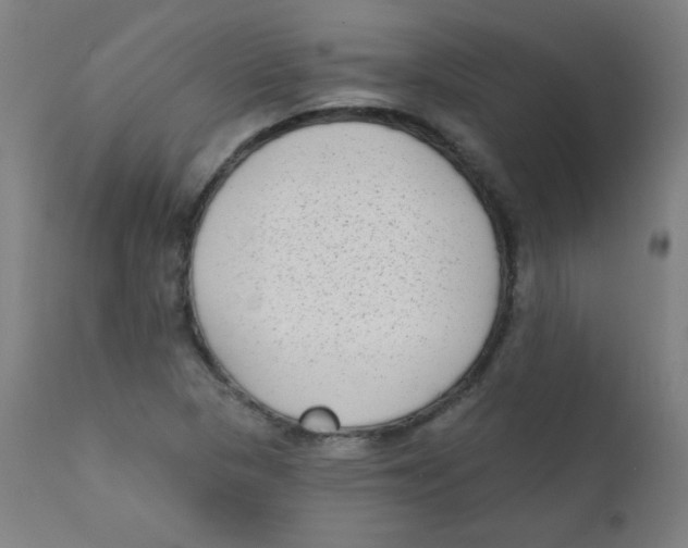 X0000112181313200909041220