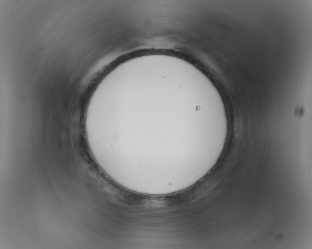 X0000112181315200909041220
