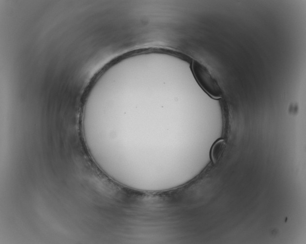 X0000112181316200909041220
