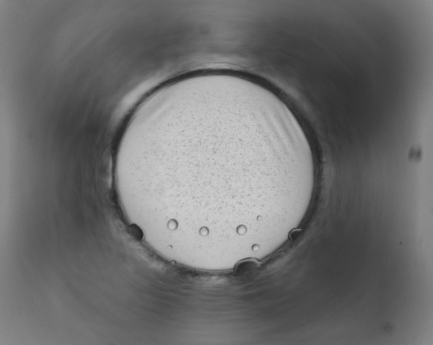 X0000112181317200909041220