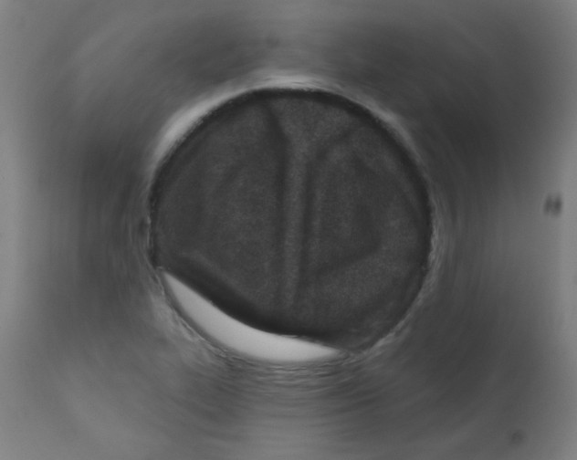 X0000112181319200909041220