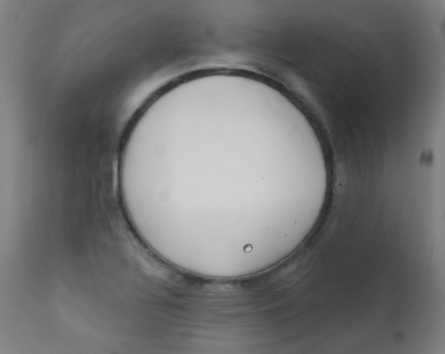 X0000112181320200909041220
