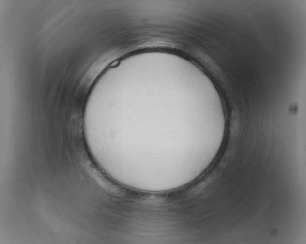 X0000112181321200909041220