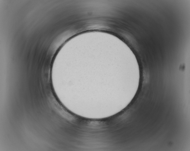 X0000112181322200909041220