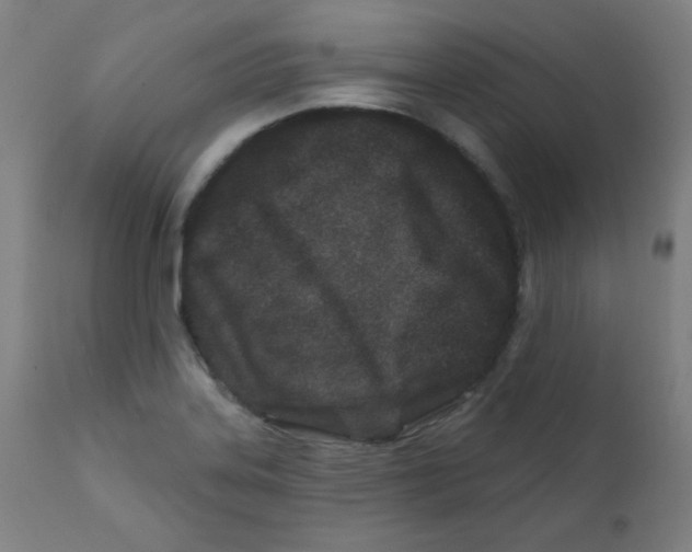 X0000112181323200909041220