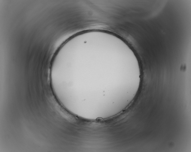 X0000112181324200909041220